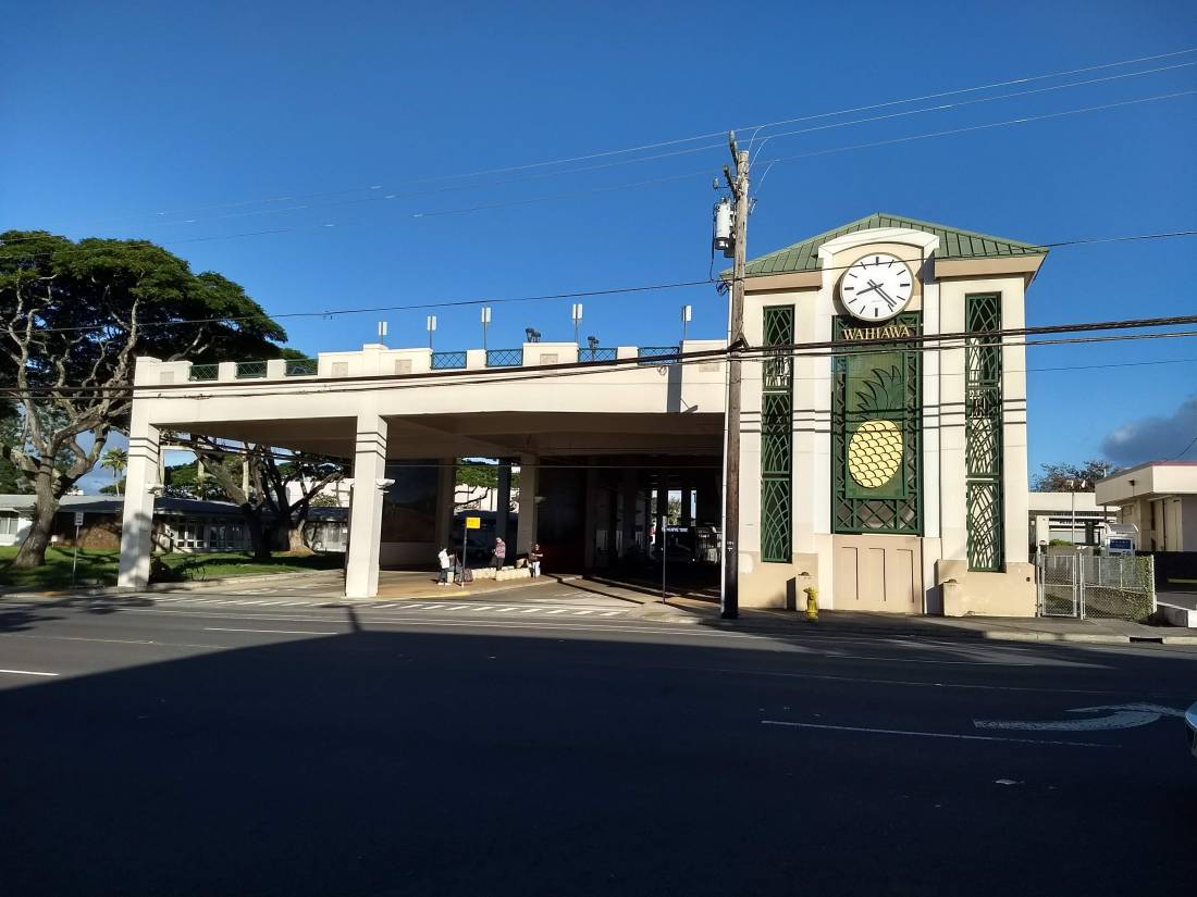 Wahiawa-8
