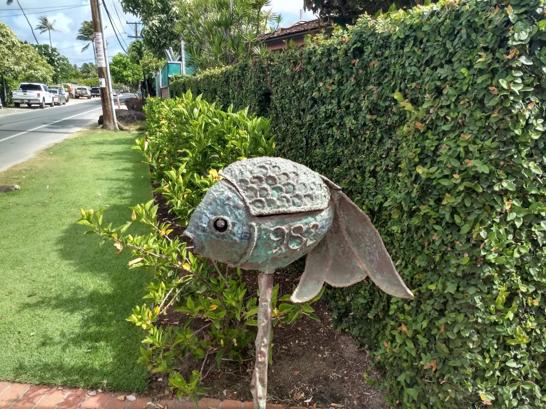 Lanikai 5 mailbox